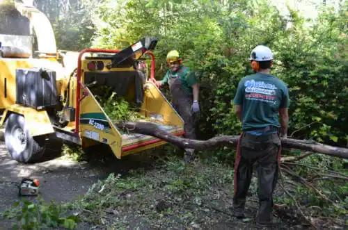 tree services Grandview